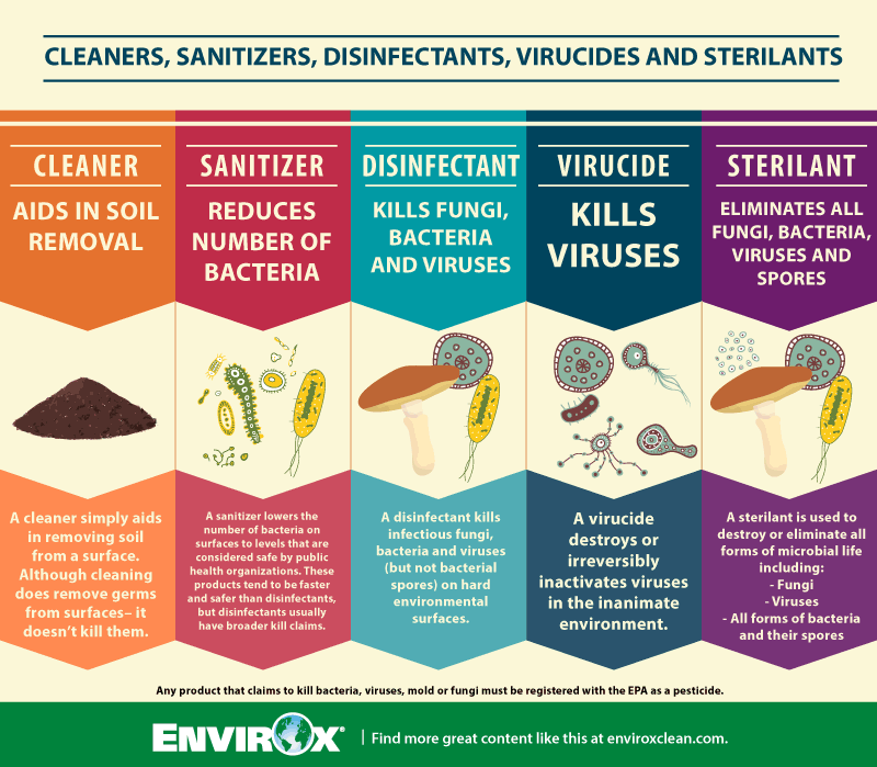 how to clean bacteria